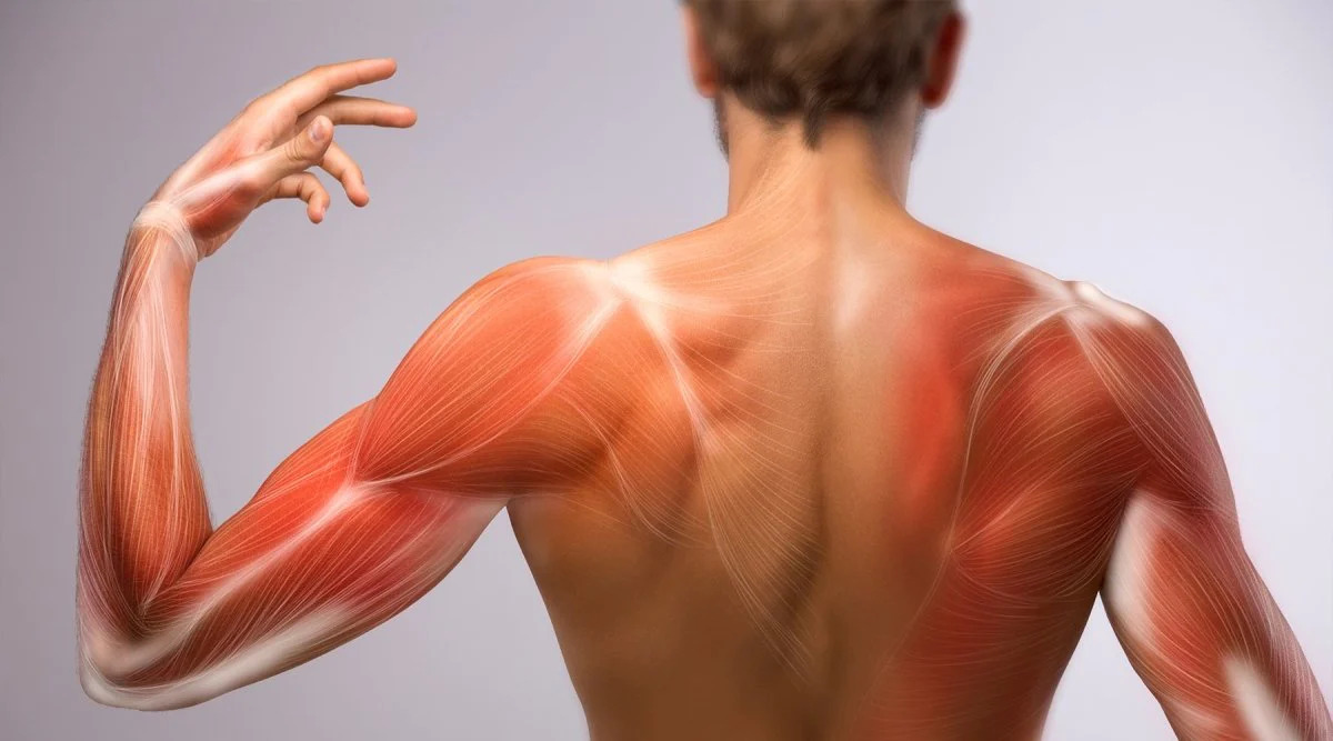 What are some possible causes of muscle pain and how can it is treated?