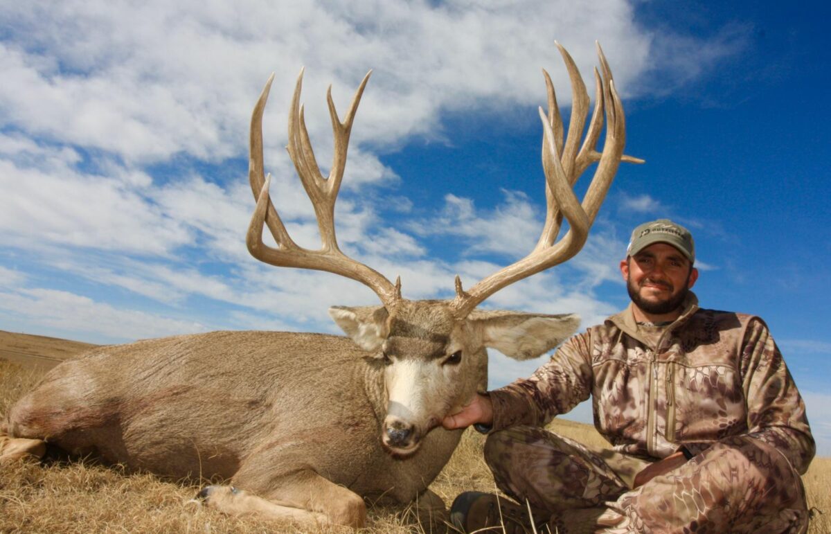 Unveiling the Illinois Monster Buck: A Tale of Majestic Wilderness