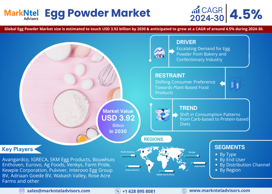Egg Powder Market Report Size with Valuable Insights, Share, Growth Survey, and Leading Top Competitors from 2024 to 2030