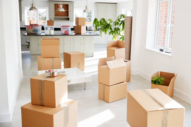 Facilitating Moves: The Convenience of Man with Van Services in Croydon
