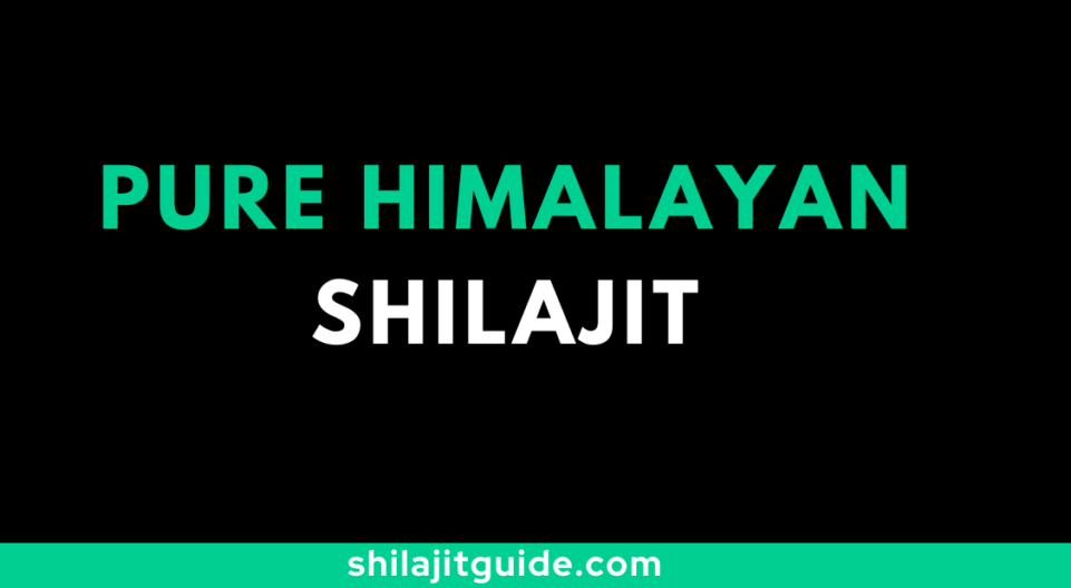 Pure Himalayan Shilajit Reviews