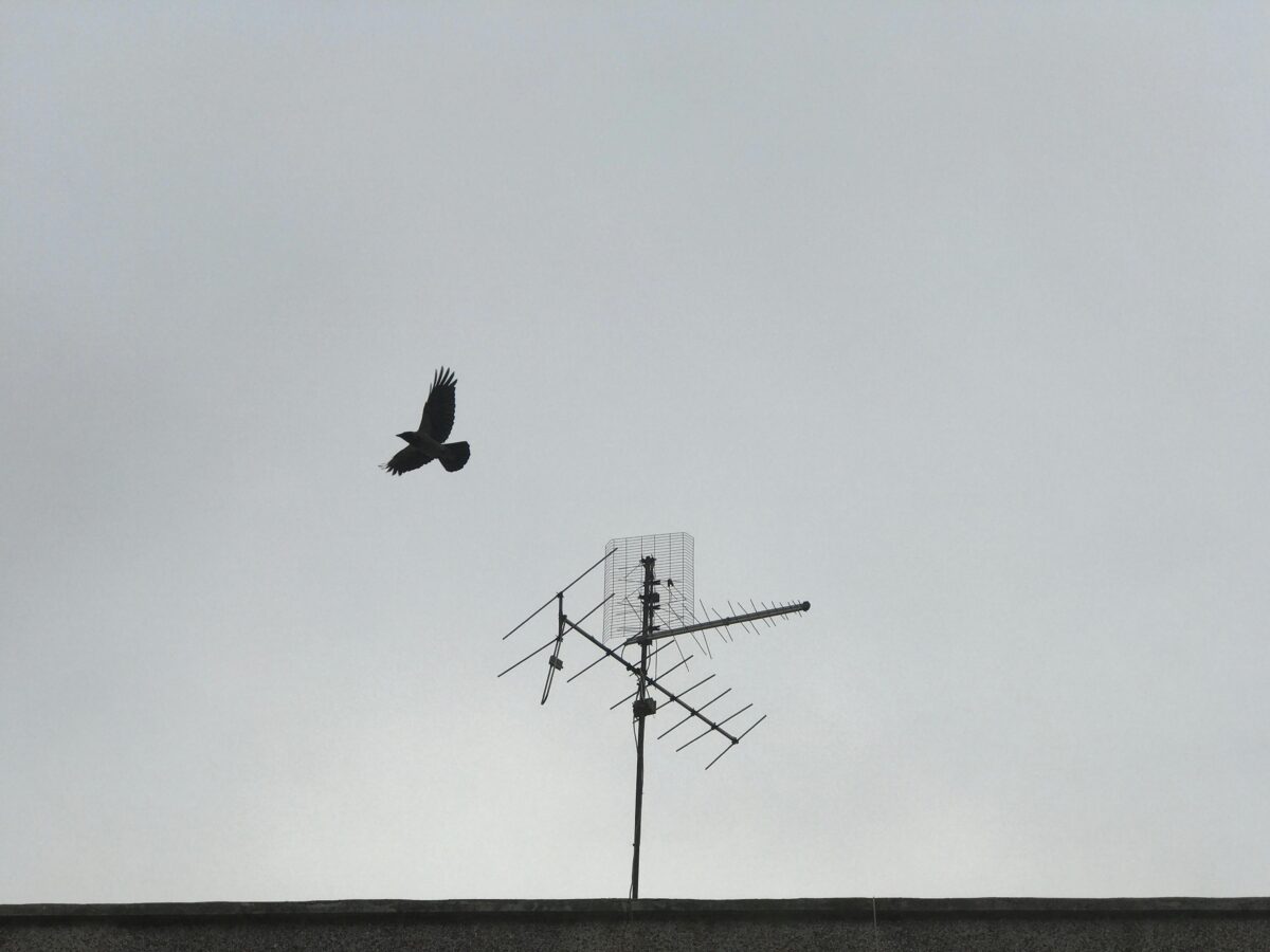 What to Do When Your Outdoor HDTV Antenna Loses Signal