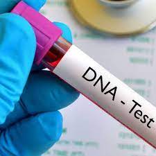 “Exploring Your DNA: Services Offered in Dubai”